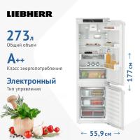 Встраиваемый холодильник 177х55,9 см Liebherr Plus ICd 5123 белый - 3 фото