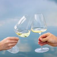 Бокал для белого вина Sauvignon Blanc 742 мл 25 см Riedel Winewings - 3 фото