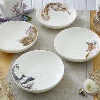 Набор тарелок для пасты Royal Worcester Забавная фауна белый 4 пр - 11 фото