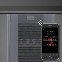 Встраиваемый винный шкаф на 38 бутылок 60х82 см Smeg Linea CVI138RS3 - 3 фото