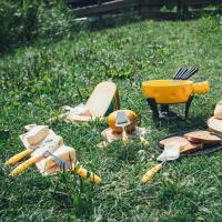 Нож для сыра 19,8 см Boska Cheesy - 4 фото