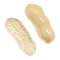 Блюдо 21х8 см Bordallo Pinheiro Nuts Peanut - 4 фото