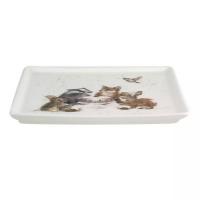 Блюдо сервировочное 18х18 см Royal Worcester Забавная фауна Лесная вечеринка белое - 6 фото