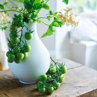 Ваза 23 см Wedgwood White Folia - 2 фото