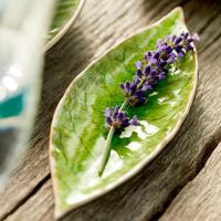 Блюдо Laurel leaf 17,8х5,7 см Costa Nova Riviera Tomate зеленое - 3 фото