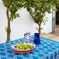 Кувшин 530 мл Casafina by Costa Nova Alentejo Terracota blue-white - 3 фото