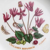 Салатник 18 см Portmeirion Botanic Garden белый - 3 фото