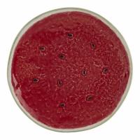 Тарелка закусочная 21 см Bordallo Pinheiro Watermelon - 1 фото