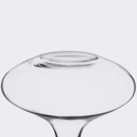 Декантер 1 л Spiegelau Vino Grande - 2 фото