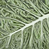 Блюдо 37х33 см Bordallo Pinheiro Cabbage - 4 фото