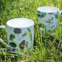 Кружка Цветущий сад 250 мл Royal Worcester - 1 фото