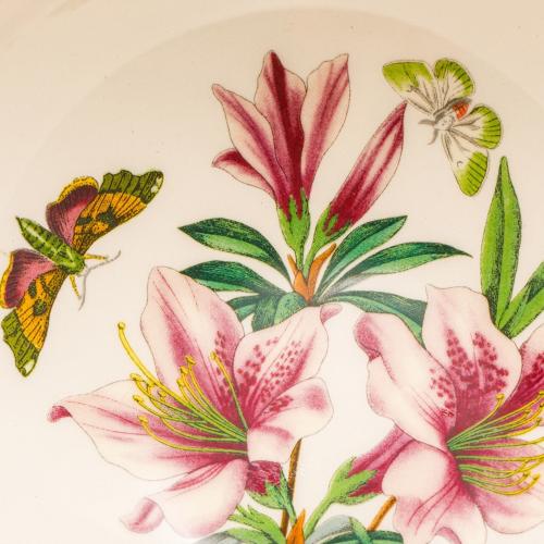 Салатник 18х8 см Portmeirion Botanic Garden Embossed белый