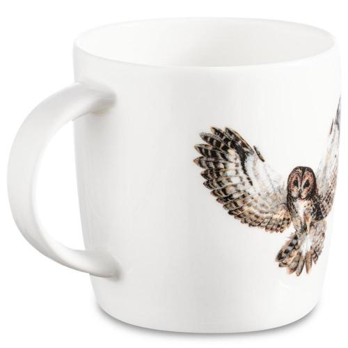 Кружка 380 мл Roy Kirkham Nature Owls Sophie белая