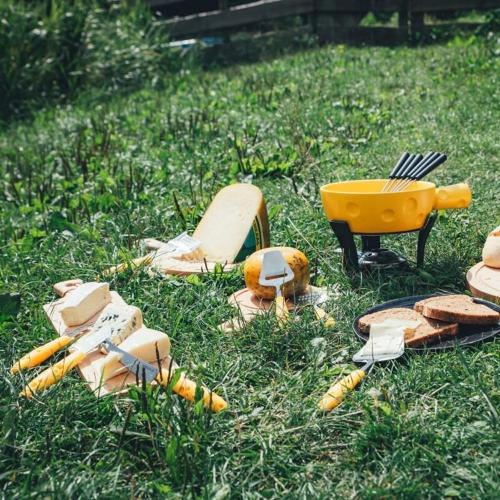 Нож для сыра 19,8 см Boska Cheesy