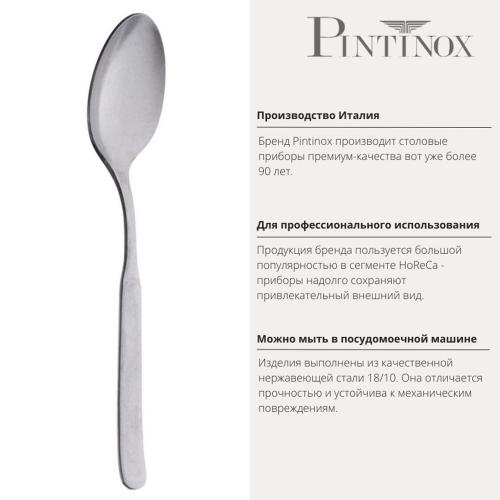 Ложка десертная 16,6 Pintinox Casali