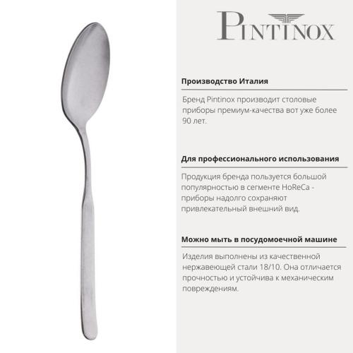 Ложка столовая 19,5 см Pintinox Casali