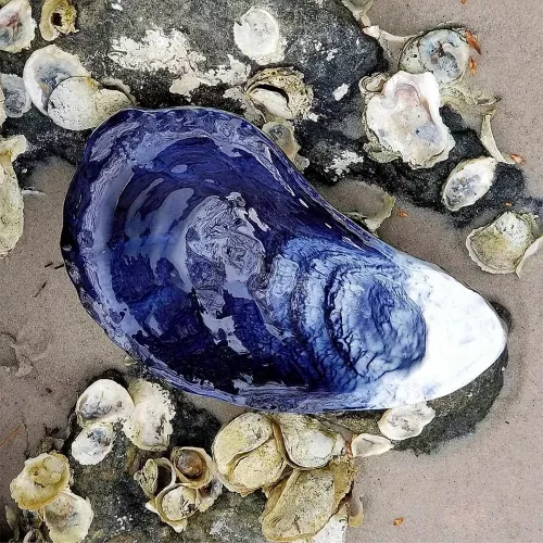 Чаша 22х14 см Michael Aram Ocean Reef синяя