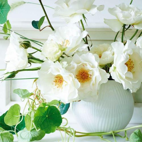 Ваза 13 см Wedgwood White Folia