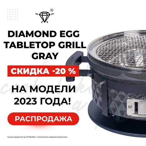 Угольный гриль 35х18 см Diamond Egg Tabletop Grill серый