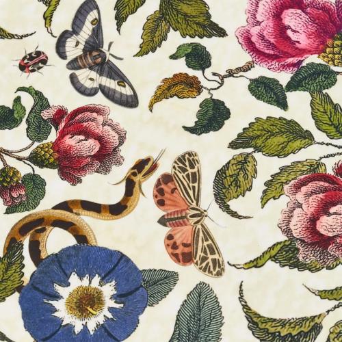Поднос 31 см Spode Creatures of Curiosity бежевый