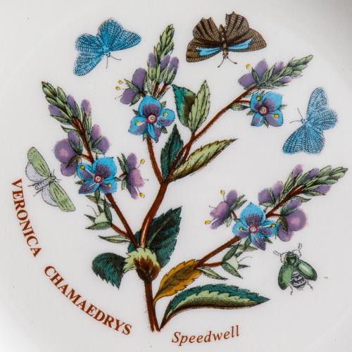 Салатник 18 см Portmeirion Botanic Garden белый