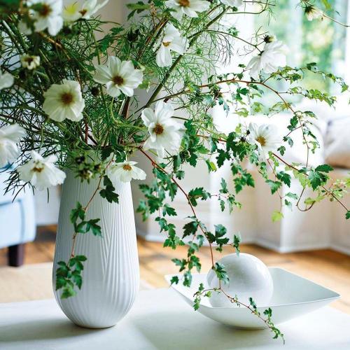 Ваза 26х26х6 см Wedgwood White Folia
