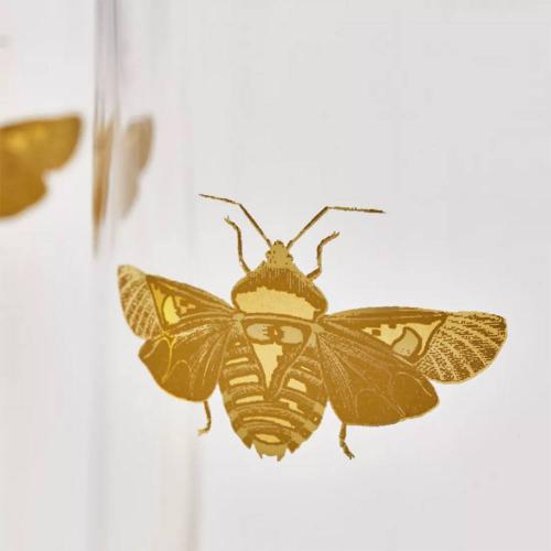 Набор стаканов для воды Spode Creatures of Curiosity 2 пр прозрачный